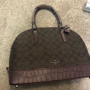 Coach burgundy/brown bag